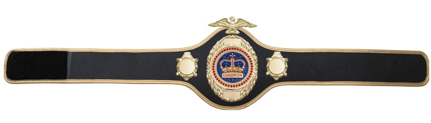 CHAMPIONSHIP BELT PRO288/G/BLUEGEM - AVAILABLE IN 10 COLOURS CHAMPIONSHIP BELT PRO288/G/BLUEGEM - AVAILABLE IN 10 COLOURS